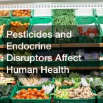 Pesticides and Endocrine Disruptors Affect Human Health