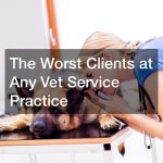 The Worst Clients at Any Vet Service Practice