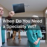 When Do You Need a Speciality Vet?
