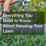 Everything You Need to Know About Aerating Your Lawn