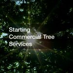 Starting Commercial Tree Services