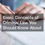 Basic Concepts of Criminal Law You Should Know About
