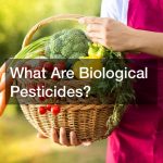 What Are Biological Pesticides?