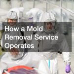 How a Mold Removal Service Operates